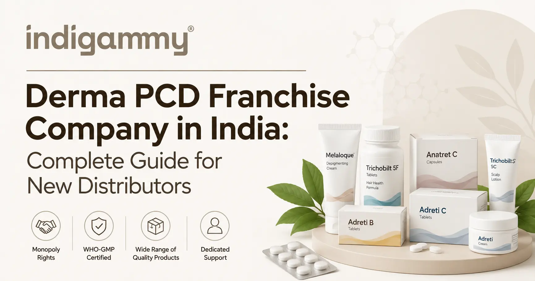Derma PCD Franchise Company in India: Complete Guide for New Distributors