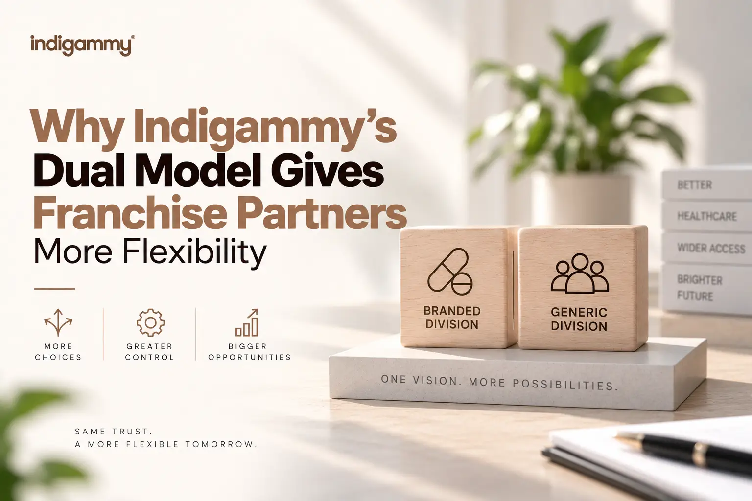 Why Indigammy's Dual Model Gives Franchise Partners More Flexibility
